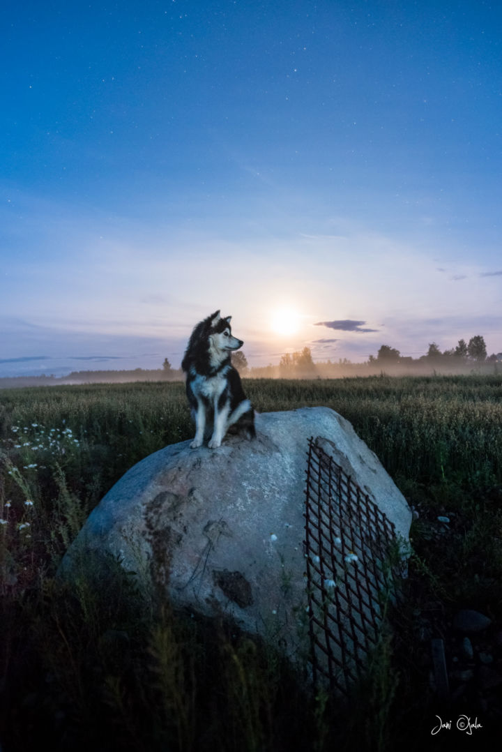 Moonlight walking – Jani Ojala Photography